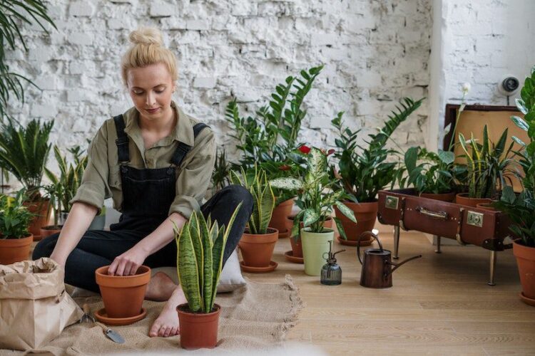 woman, gardening, green, plants, growing, rehab, recovery, sober