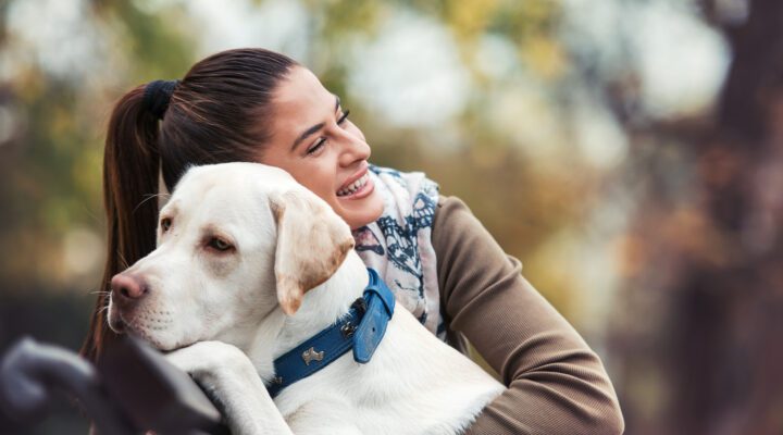 pet can support your recovery, How Pets Can Assist in Recovery