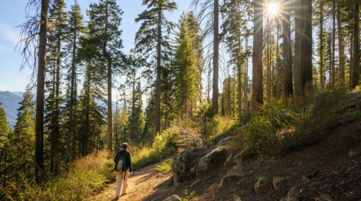 Bel Aire - Head Out into Nature to Support Your Recovery