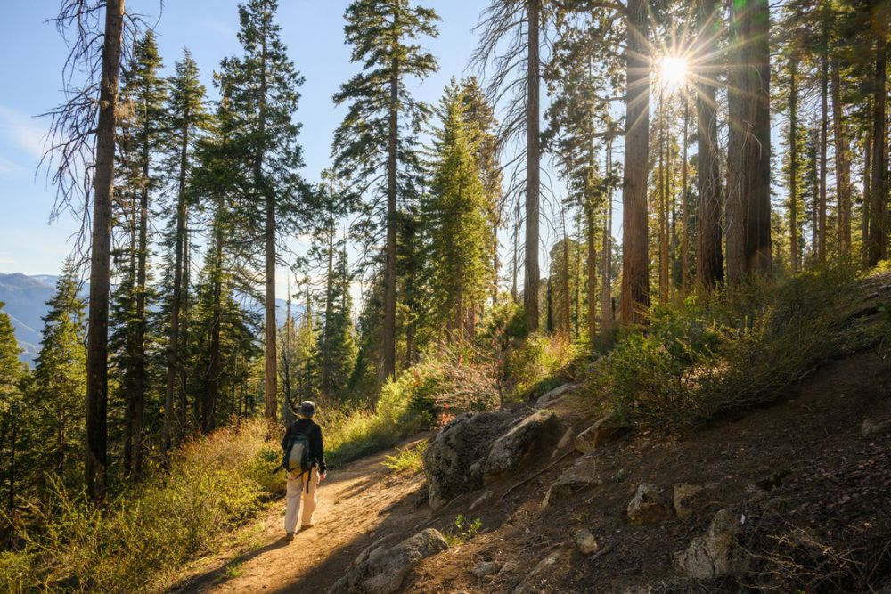 Bel Aire - Head Out into Nature to Support Your Recovery